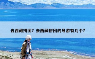 去西藏拼团？去西藏拼团的导游有几个?