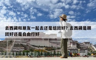 去西藏和朋友一起去还是组团好？去西藏是跟团好还是自由行好