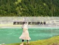 武汉拉萨？武汉拉萨火车
