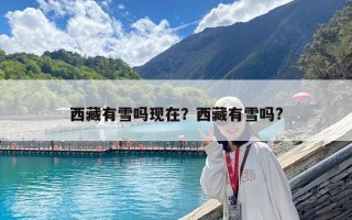 西藏有雪吗现在？西藏有雪吗?