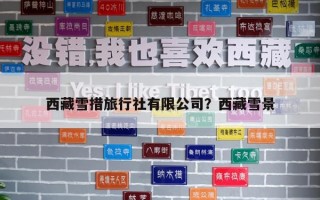 西藏雪措旅行社有限公司？西藏雪景
