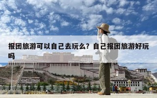 报团旅游可以自己去玩么？自己报团旅游好玩吗