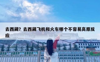 去西藏？去西藏飞机和火车哪个不容易高原反应