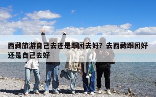 西藏旅游自己去还是跟团去好？去西藏跟团好还是自己去好