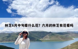 林芝6月中旬看什么花？六月的林芝有花看吗