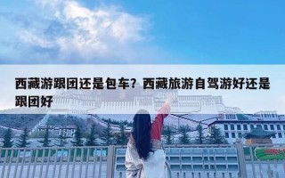 西藏游跟团还是包车？西藏旅游自驾游好还是跟团好