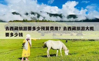 去西藏旅游要多少预算费用？去西藏旅游大概要多少钱