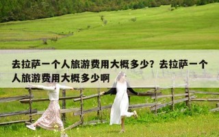 去拉萨一个人旅游费用大概多少？去拉萨一个人旅游费用大概多少啊