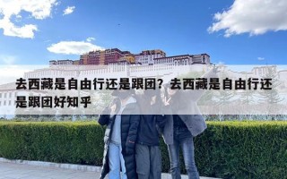 去西藏是自由行还是跟团？去西藏是自由行还是跟团好知乎