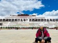 去西藏旅游用什么车？去西藏旅游什么车比较好
