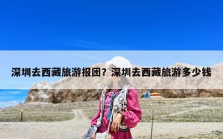 深圳去西藏旅游报团？深圳去西藏旅游多少钱