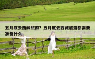 五月底去西藏旅游？五月底去西藏旅游都需要准备什么
