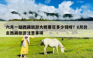 六月一趟西藏旅游大概要花多少钱呀？6月份去西藏旅游注意事项