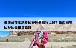 去西藏在本地参团好还是携程上好？去西藏参团好还是独自去好