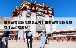 去西藏有高原反应怎么办？去西藏有高原反应吃什么药效果好
