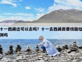 十一西藏还可以去吗？十一去西藏需要核酸检测吗