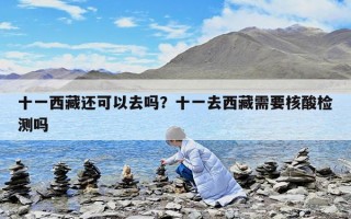 十一西藏还可以去吗？十一去西藏需要核酸检测吗