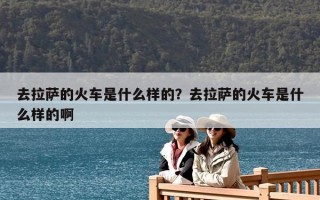 去拉萨的火车是什么样的？去拉萨的火车是什么样的啊
