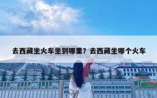 去西藏坐火车坐到哪里？去西藏坐哪个火车