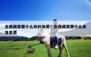 去西藏需要什么样的体质？去西藏需要什么身体素质
