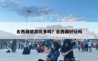 去西藏旅游坑多吗？去西藏好玩吗