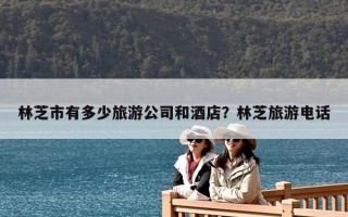 林芝市有多少旅游公司和酒店？林芝旅游电话