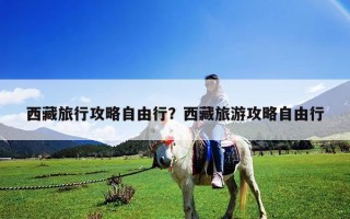 西藏旅行攻略自由行？西藏旅游攻略自由行