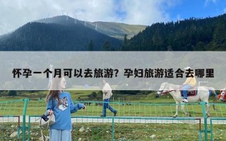 怀孕一个月可以去旅游？孕妇旅游适合去哪里