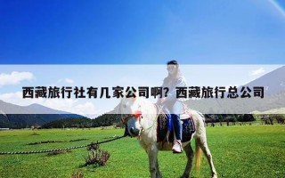西藏旅行社有几家公司啊？西藏旅行总公司