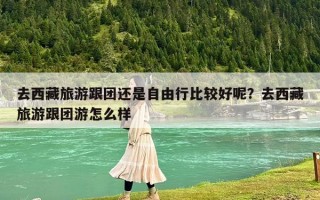 去西藏旅游跟团还是自由行比较好呢？去西藏旅游跟团游怎么样