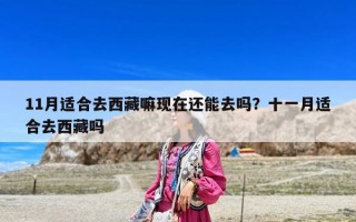 11月适合去西藏嘛现在还能去吗？十一月适合去西藏吗
