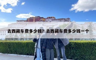 去西藏车费多少钱？去西藏车费多少钱一个