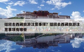 组团去西藏旅游注意事项？组团去西藏旅游注意事项有哪些