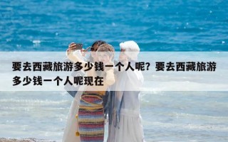 要去西藏旅游多少钱一个人呢？要去西藏旅游多少钱一个人呢现在