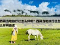 西藏当地旅行社怎么样啊？西藏当地旅行社怎么样啊最近