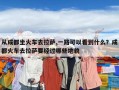 从成都坐火车去拉萨,一路可以看到什么？成都火车去拉萨要经过哪些地貌