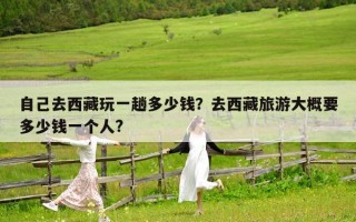 自己去西藏玩一趟多少钱？去西藏旅游大概要多少钱一个人?