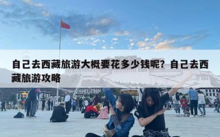 自己去西藏旅游大概要花多少钱呢？自己去西藏旅游攻略