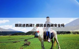 跟团进西藏？跟团去西藏安全吗