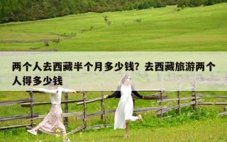 两个人去西藏半个月多少钱？去西藏旅游两个人得多少钱
