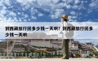 到西藏旅行团多少钱一天啊？到西藏旅行团多少钱一天啊