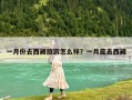 一月份去西藏旅游怎么样？一月底去西藏