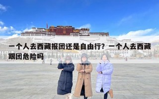 一个人去西藏报团还是自由行？一个人去西藏跟团危险吗