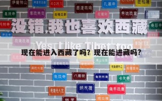 现在能进入西藏了吗？现在能进藏吗?