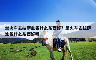 坐火车去拉萨准备什么东西好？坐火车去拉萨准备什么东西好呢