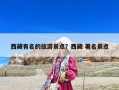 西藏有名的旅游景点？西藏 著名景点