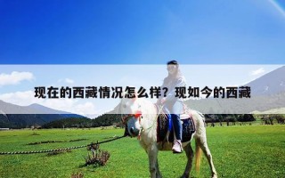 现在的西藏情况怎么样？现如今的西藏