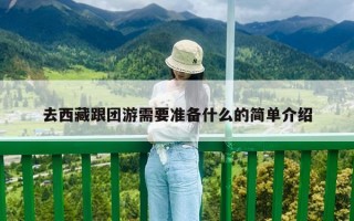 去西藏跟团游需要准备什么的简单介绍
