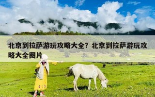 北京到拉萨游玩攻略大全？北京到拉萨游玩攻略大全图片