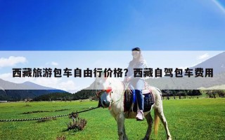 西藏旅游包车自由行价格？西藏自驾包车费用